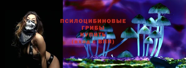 Альфа ПВП Абаза
