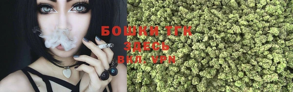 мдма Новодвинск