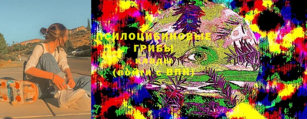 мдма Новодвинск