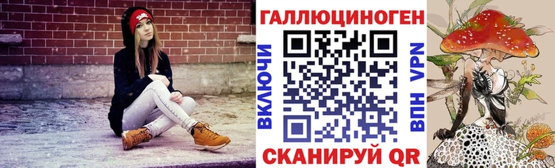 блэк спрут сайт  дарнет шоп  Почеп  Псилоцибиновые грибы Cubensis 